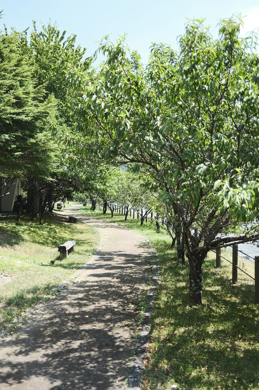 【飛騨高山】FUJIFILM X100Vとソロキャンプ