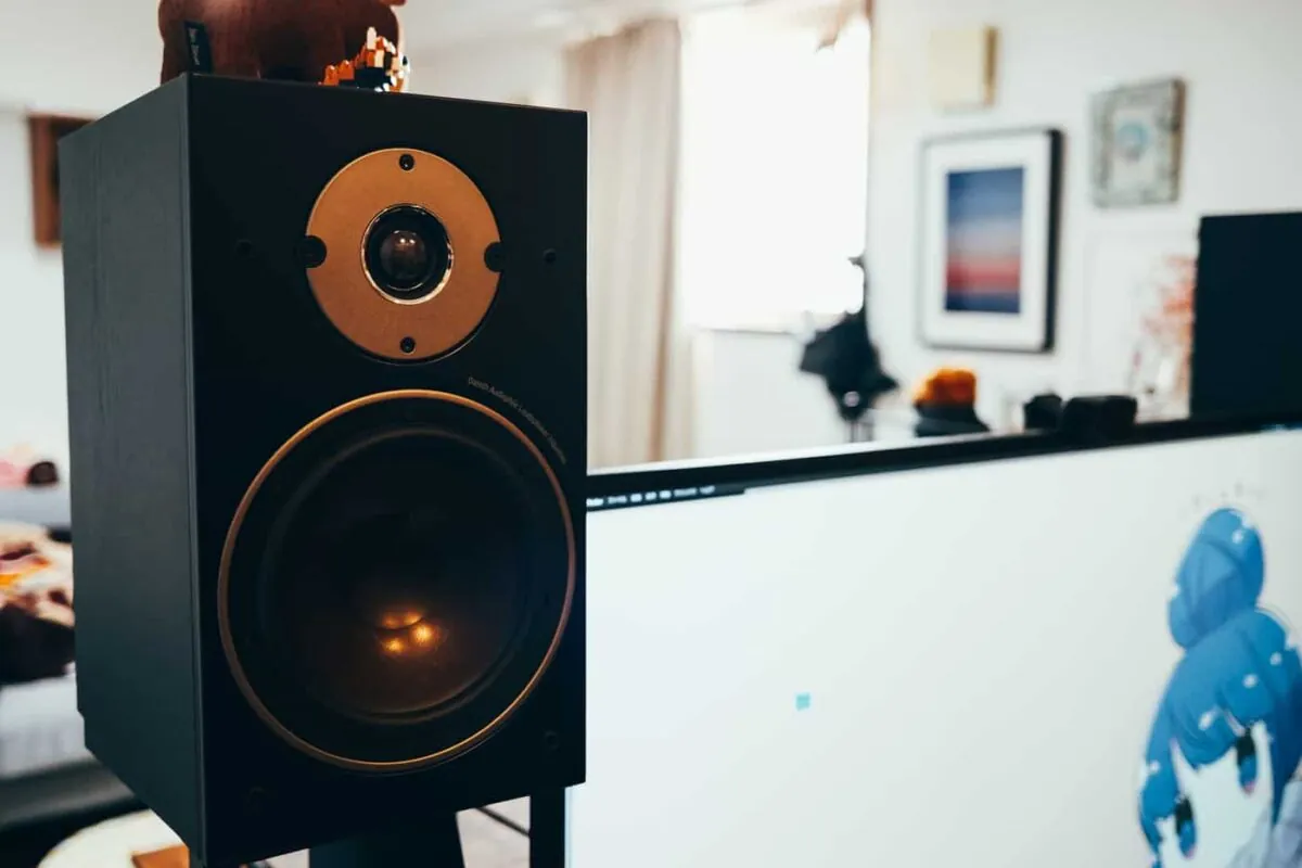 DALIブックシェルフ型スピーカーOBERON3を買いました