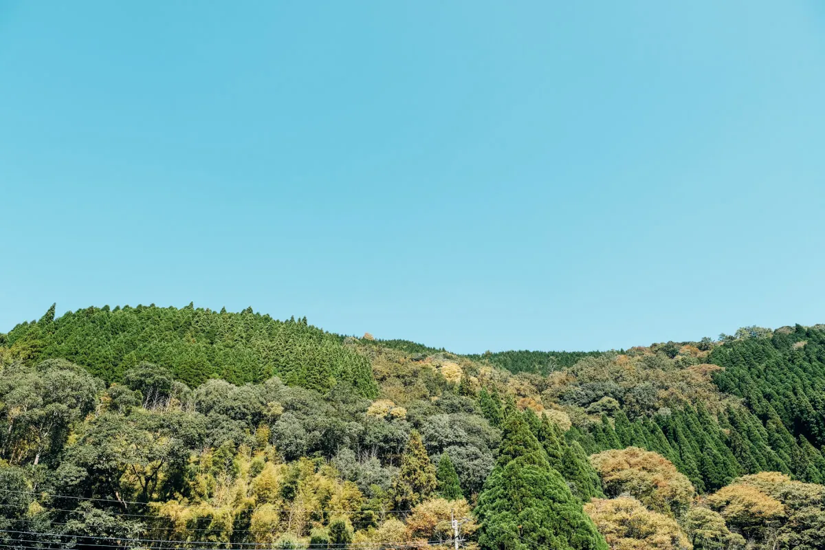 富士フイルムX-T2とXF16-55で撮る熊本の風景スナップ