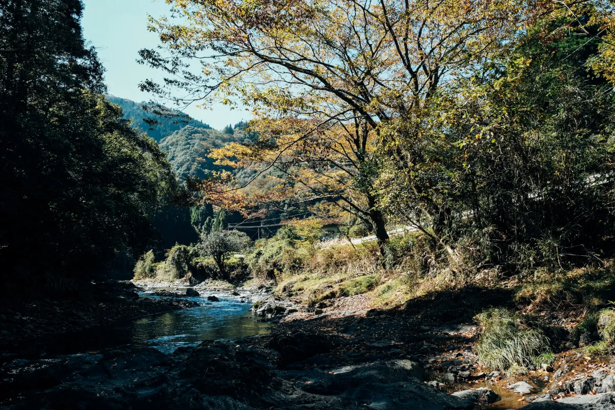 富士フイルムX-T2とXF16-55で撮る熊本の風景スナップ