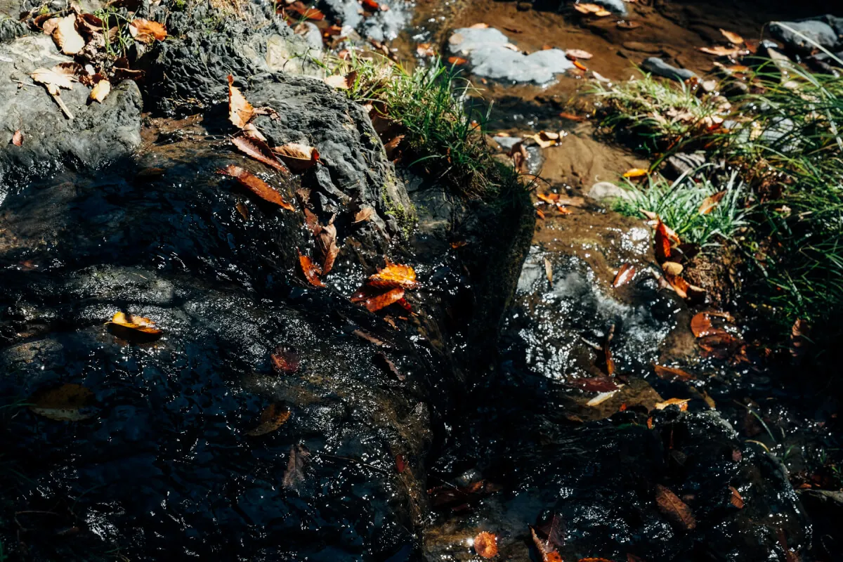 富士フイルムX-T2とXF16-55で撮る熊本の風景スナップ