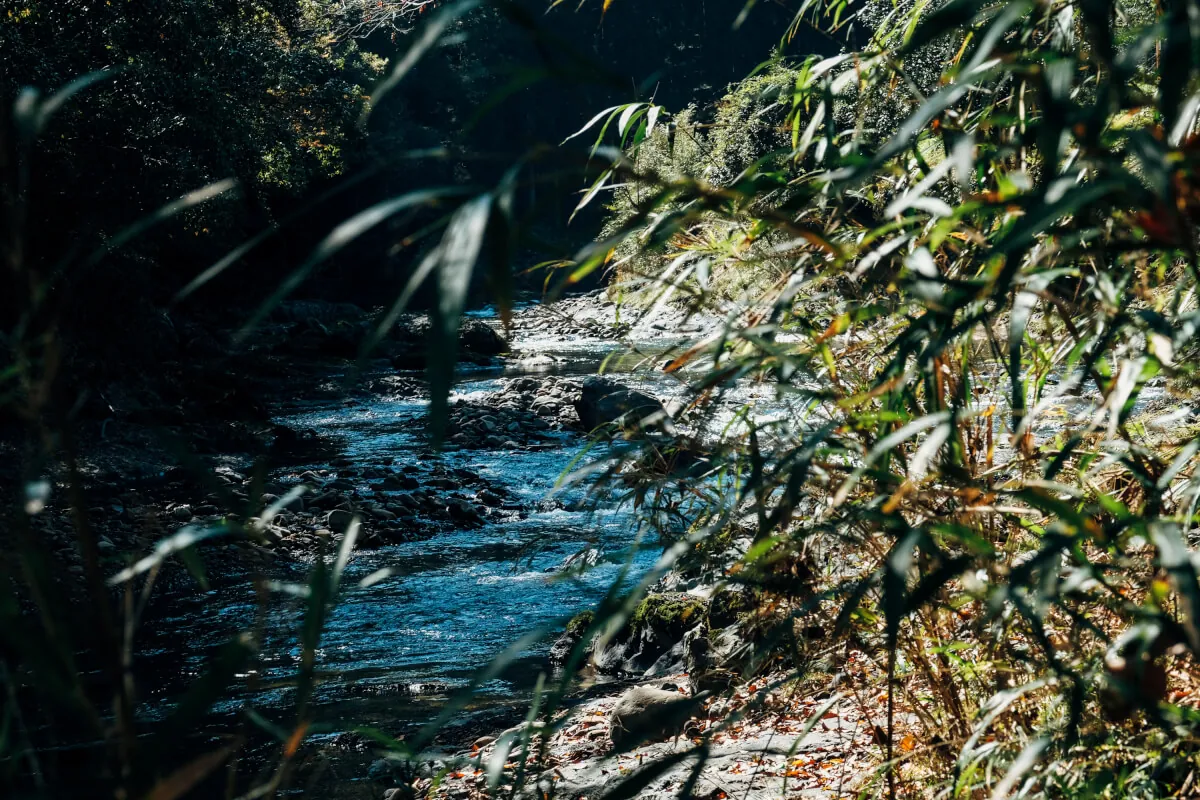 富士フイルムX-T2とXF16-55で撮る熊本の風景スナップ