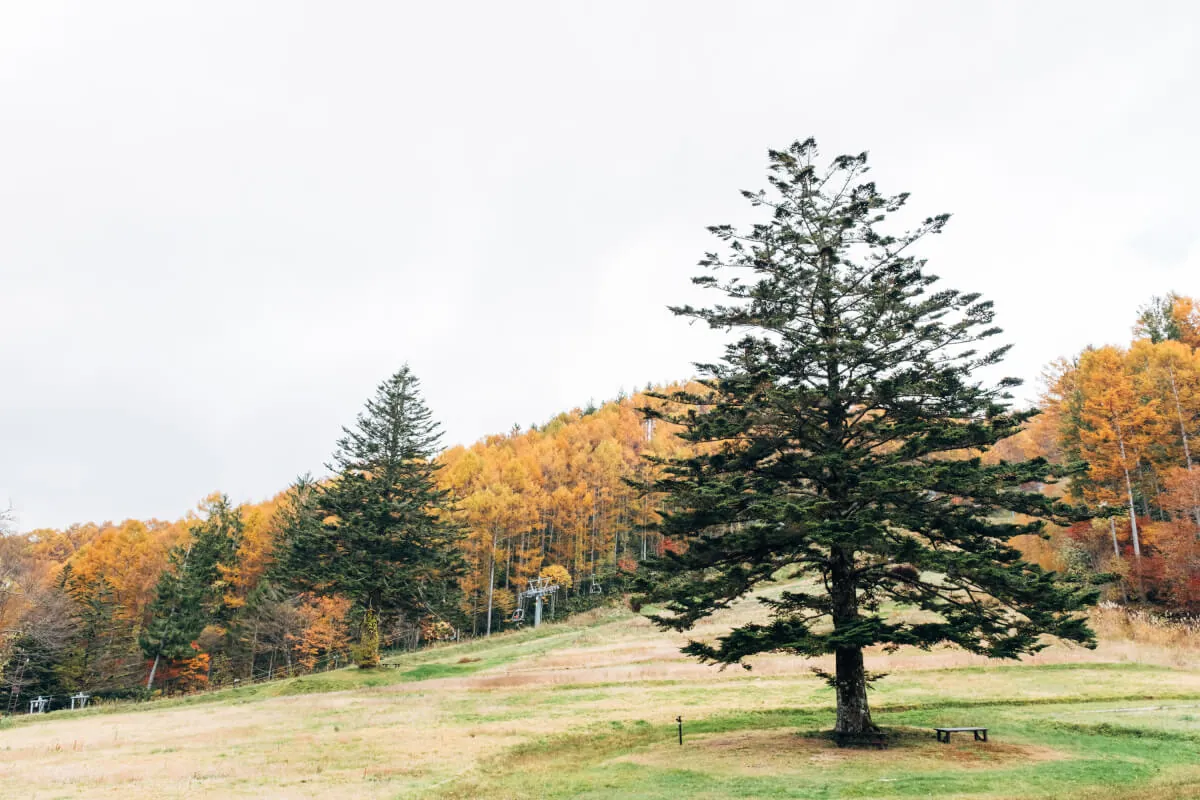 ヘブンスそのはらのセンターハウス付近
