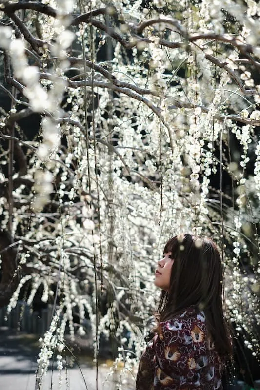 [2019年]犬山市大縣神社の梅園は見頃だった