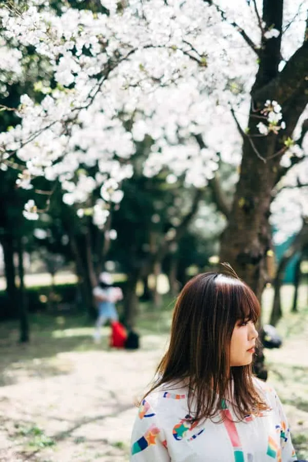 【名古屋・桜】庄内緑地公園でお花見してきた