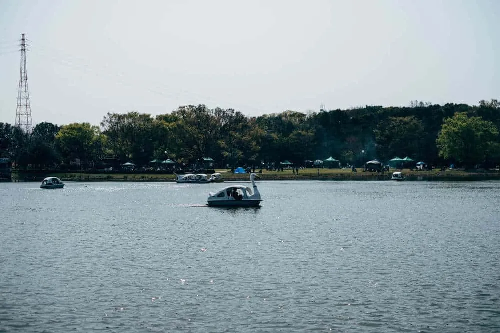 【名古屋・桜】庄内緑地公園でお花見してきた