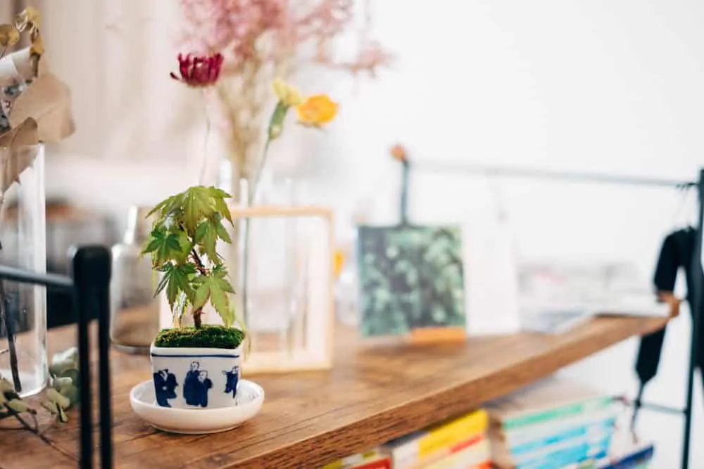 東別院の名古屋アンティークマーケットにいってきました