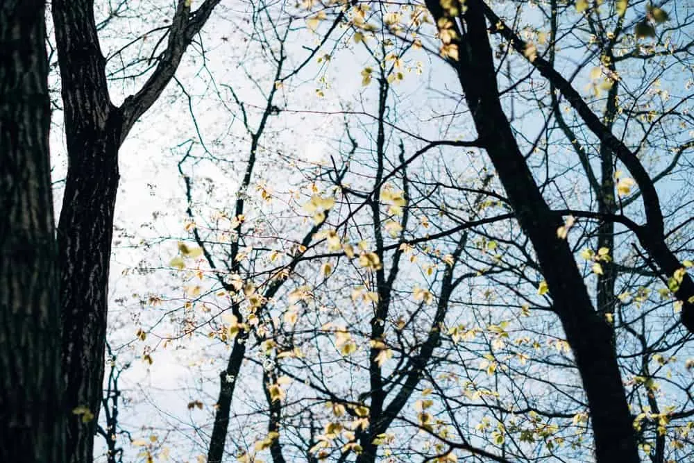 【那須高原】那須ステンドグラス美術館はおすすめ観光スポット