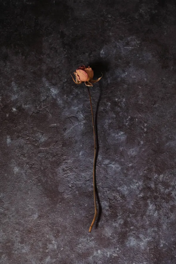 物撮りの背景にhaiqeiがおすすめ