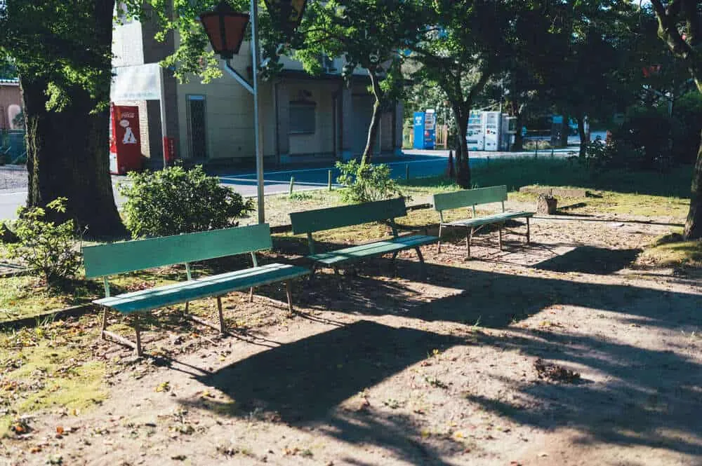 Nikon Z 6+NIKKOR Z 35mmで撮る犬山桃太郎神社と彼岸花