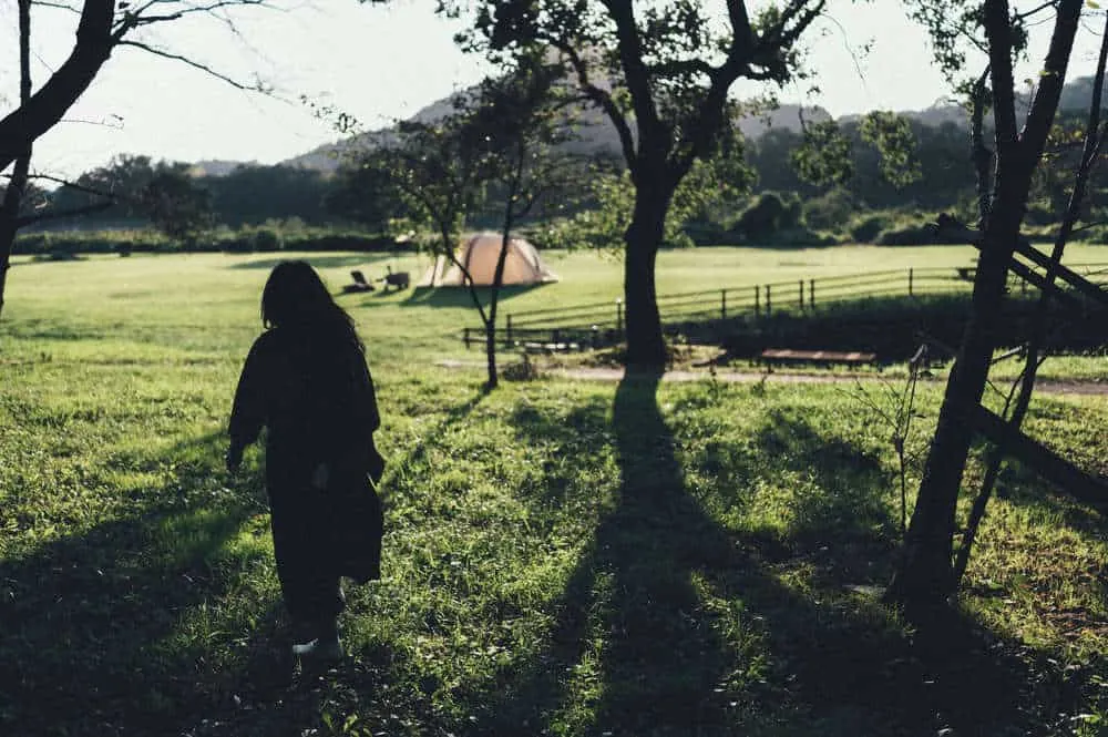 Nikon Z 6+NIKKOR Z 35mmで撮る犬山桃太郎神社と彼岸花