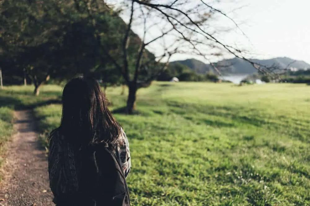 Nikon Z 6+NIKKOR Z 35mmで撮る犬山桃太郎神社と彼岸花