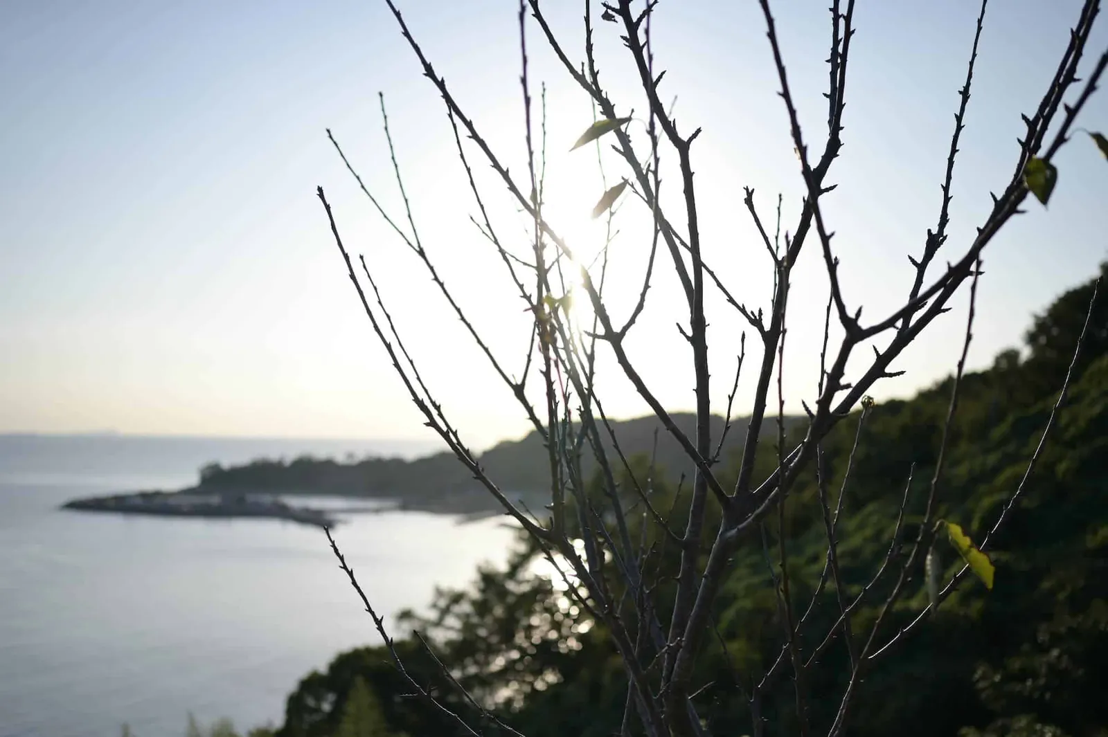 【Vol.2】瀬戸内海、愛媛県の興居島の海と空。