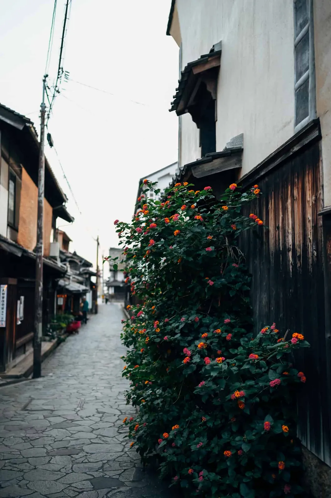 Nikon Z 6とZ 35mm/F1.8で秋の鞆の浦の街並みとか