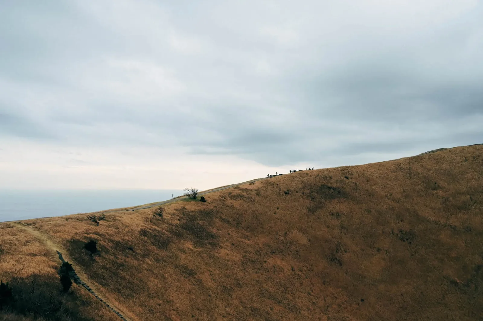 【伊豆高原】静岡県の大室山に登ってきた(リフト)