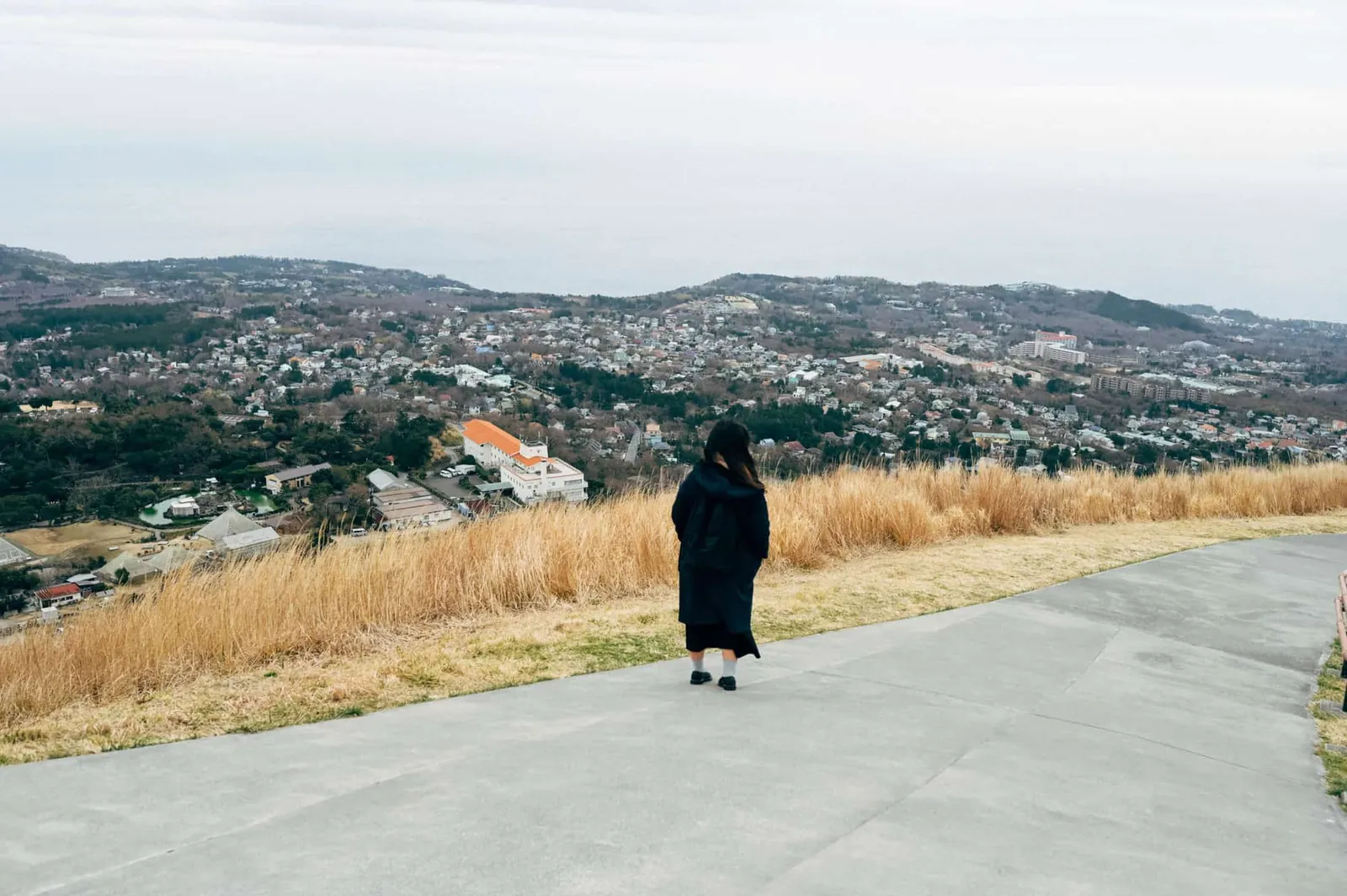 【伊豆高原】静岡県の大室山に登ってきた(リフト)