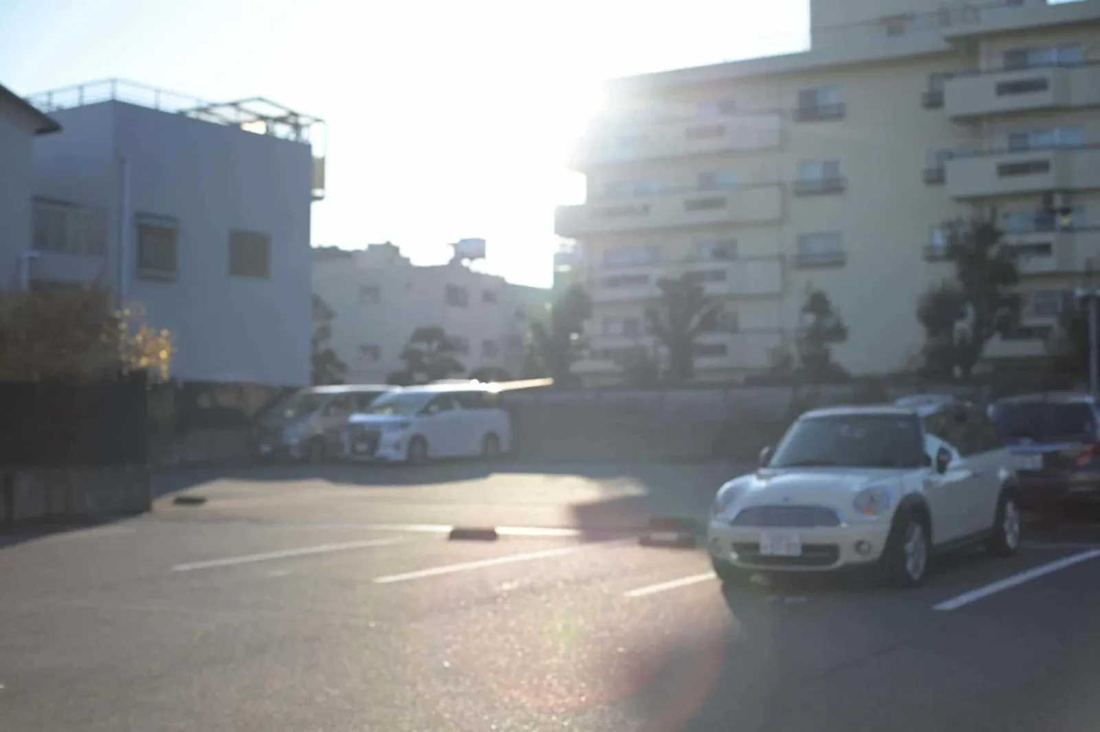 【Nikon Z 6】焦点工房ヤシコンアダプターSHOTEN CY-NZを買ってみた