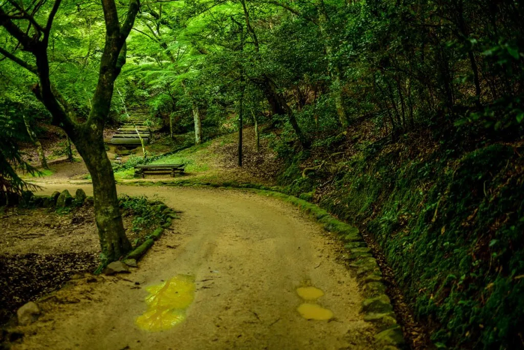 宮島のロープウェイまでに続く道