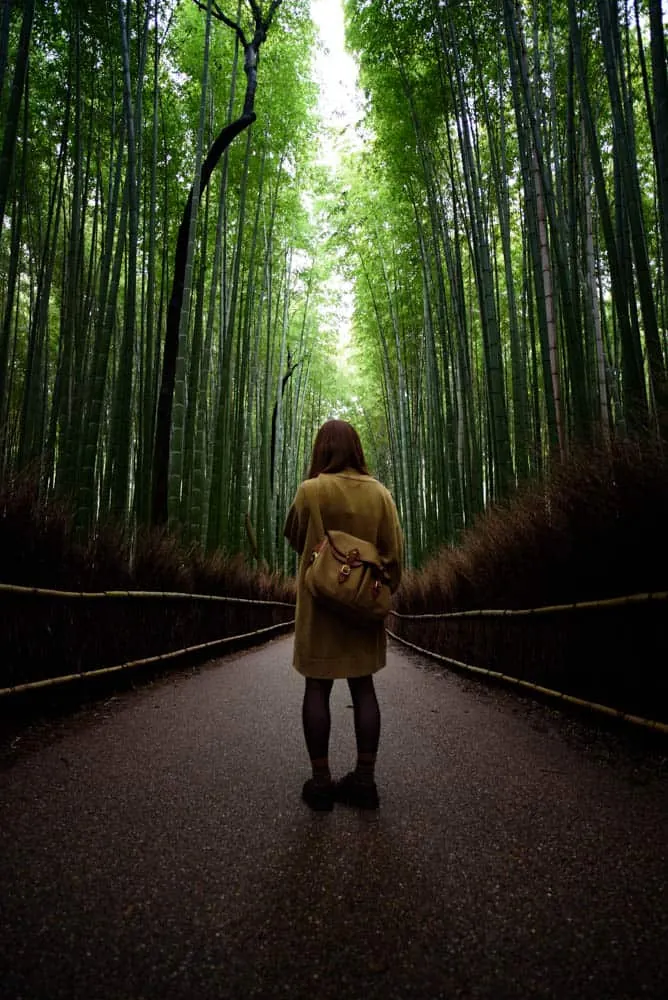 【NikonD750/CarlZeiss作例】京都旅行に行ってきました1日目。