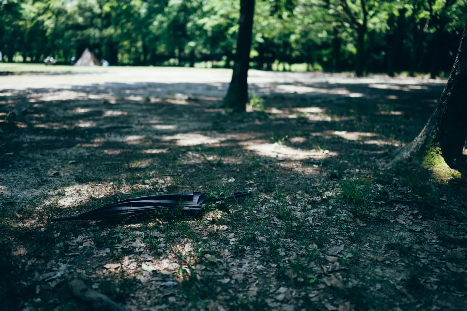 庄内緑地公園でピクニックしてきた