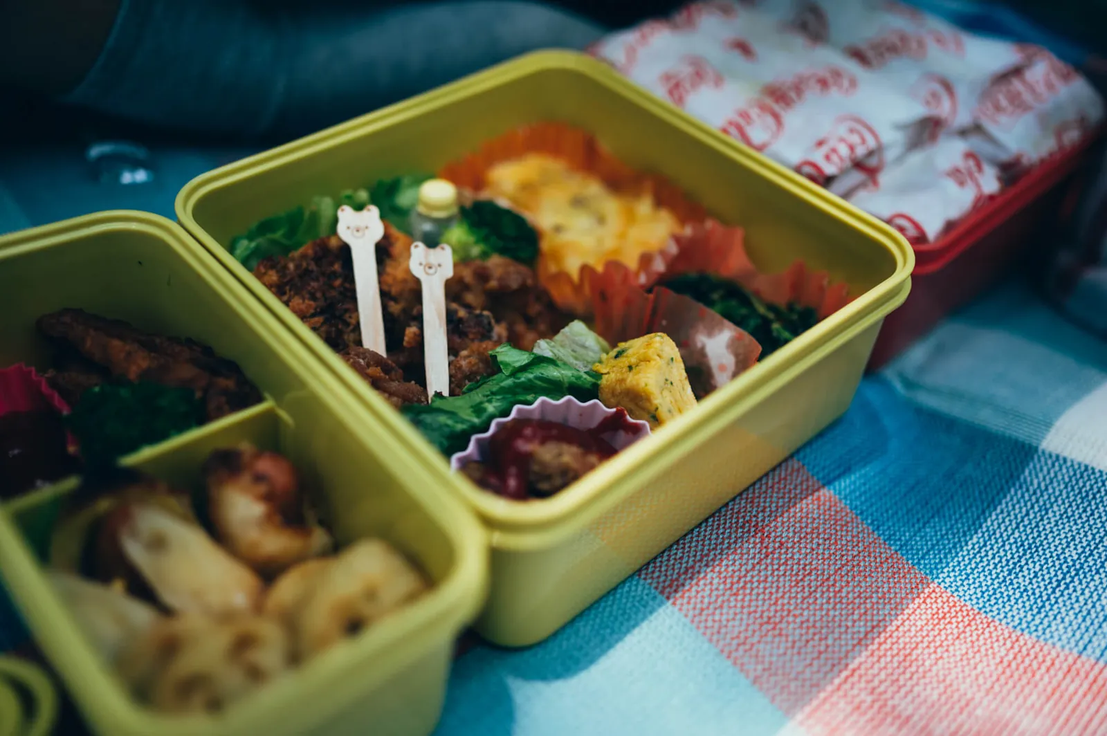 庄内緑地公園でピクニックしてきた