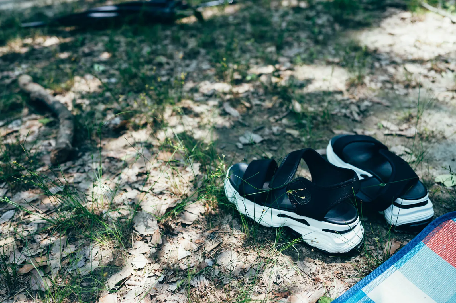 庄内緑地公園でピクニックしてきた