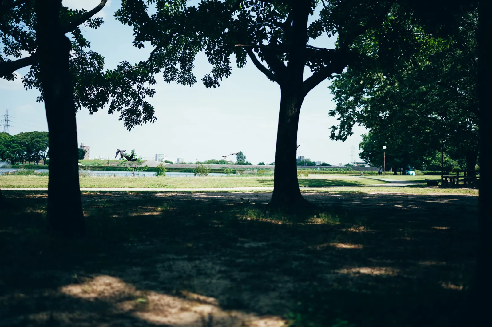 庄内緑地公園でピクニックしてきた