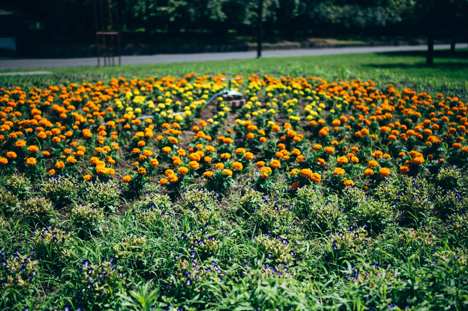庄内緑地公園でピクニックしてきた