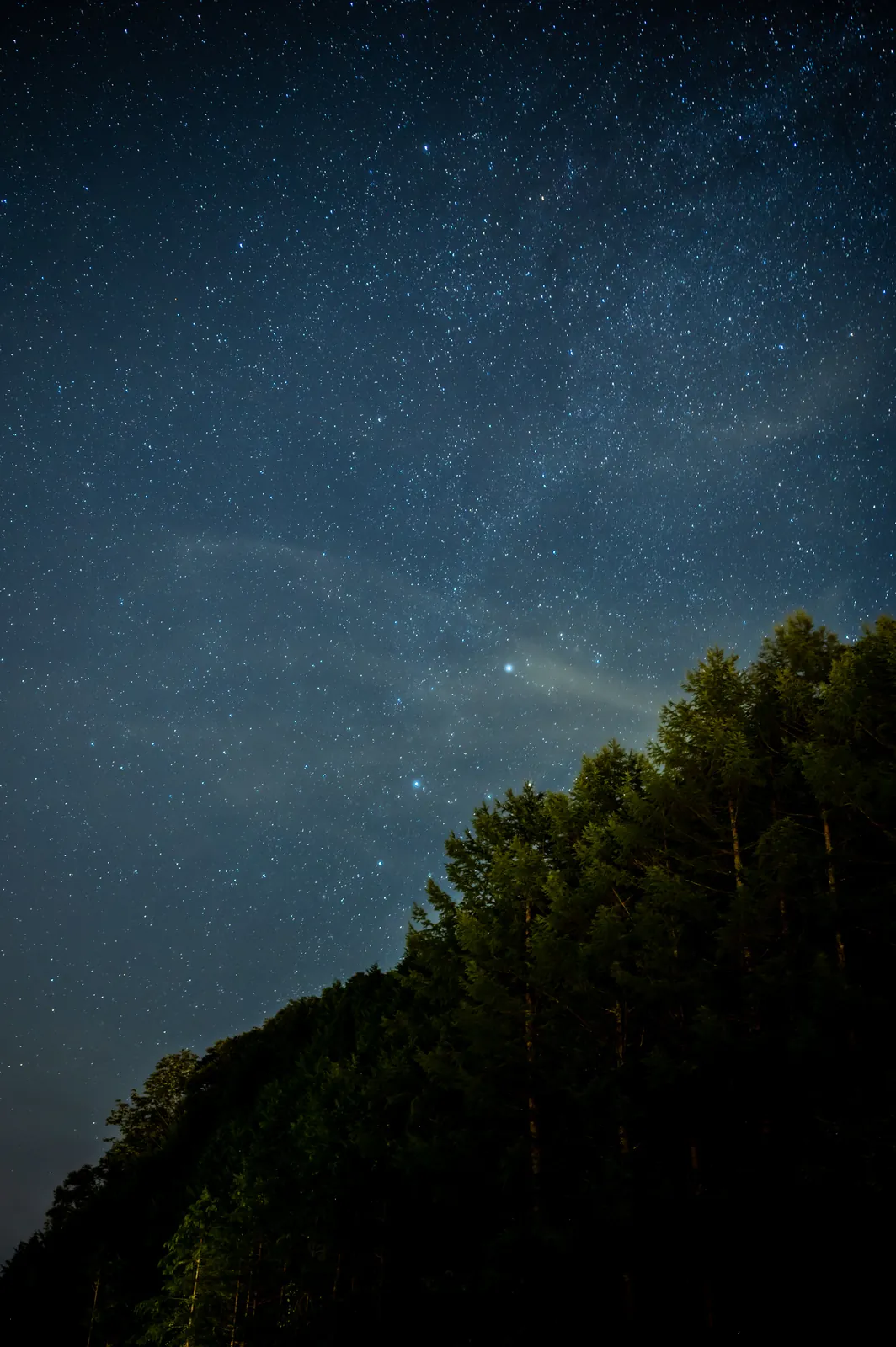 Nikon Z 6と飛騨高山の星空(鈴蘭高原)