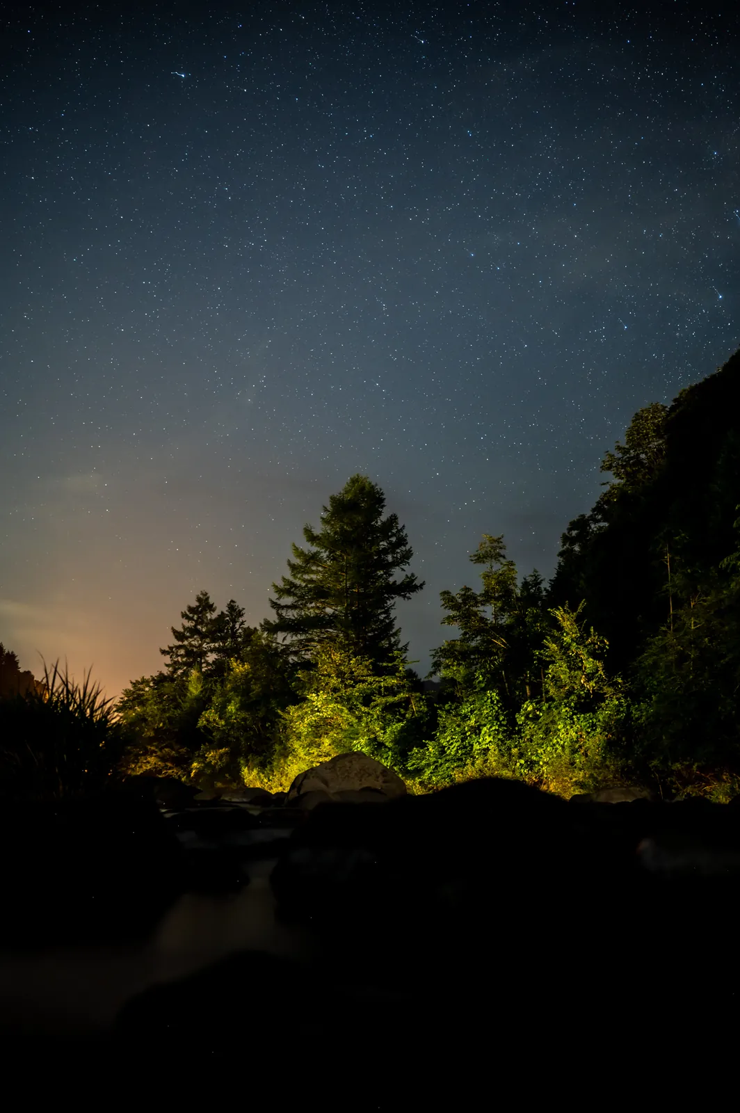 Nikon Z 6と飛騨高山の星空(鈴蘭高原)