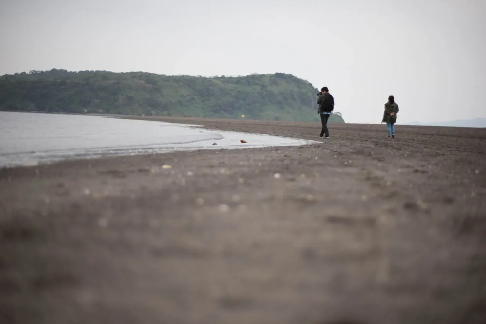 【作例】Nikon D750とDistagon、Planarで鹿児島旅行に行きました。