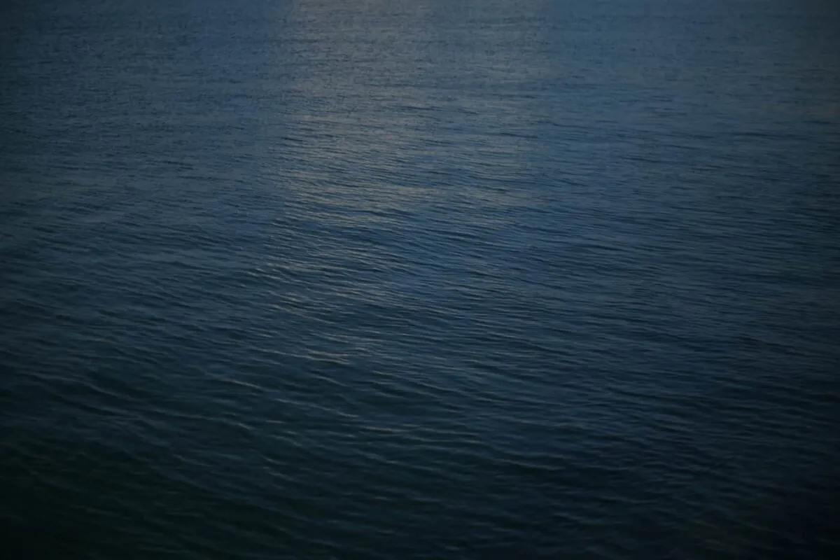 海で語り合ったり、色恋沙汰したり、酒片手にはしゃぎたい人生だった