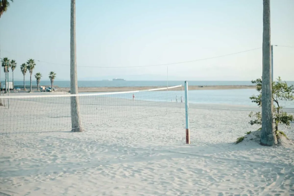 海で語り合ったり、色恋沙汰したり、酒片手にはしゃぎたい人生だった