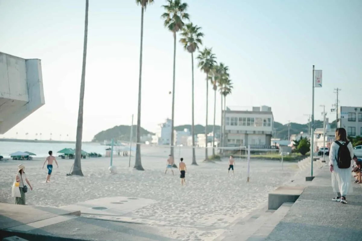海で語り合ったり、色恋沙汰したり、酒片手にはしゃぎたい人生だった