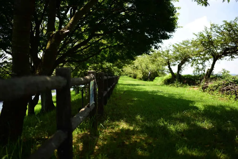 【Nikon D750作例】木曽三川公園の船頭平河川公園に撮影にいってきました。