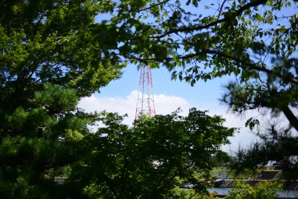 【Nikon D750作例】木曽三川公園の船頭平河川公園に撮影にいってきました。