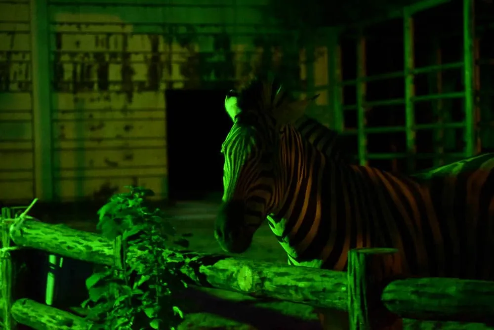 夜の動物園。東山動植物園「ナイトZOO」をNikon D750で撮影してきました。