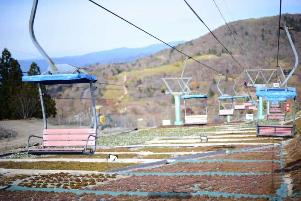 【NikonD750/Planar50mm作例】茶臼山に紅葉を撮りに行ってきた