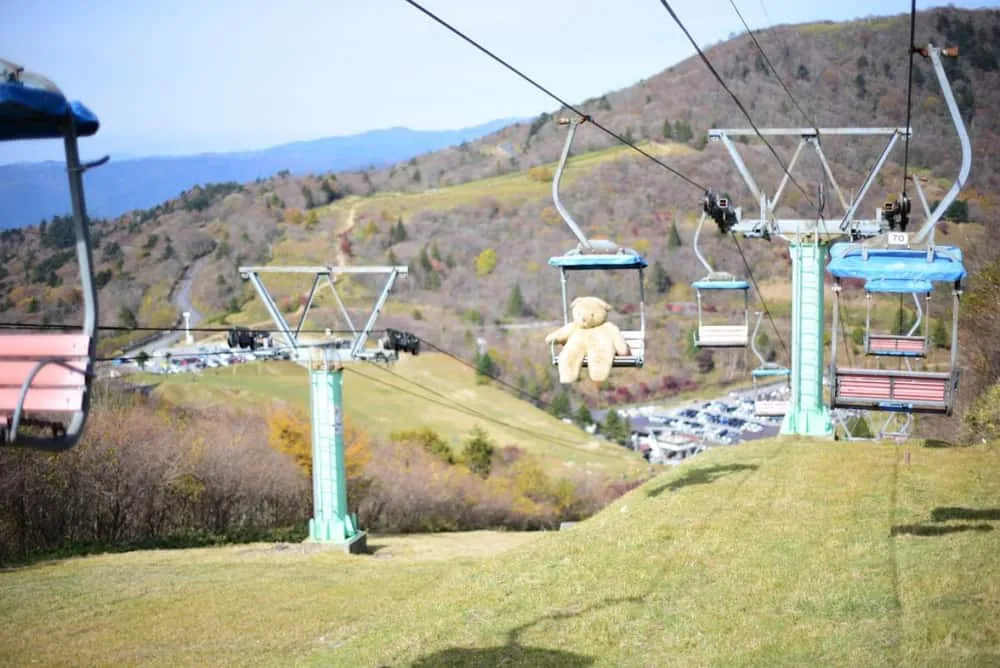 【NikonD750/Planar50mm作例】茶臼山に紅葉を撮りに行ってきた