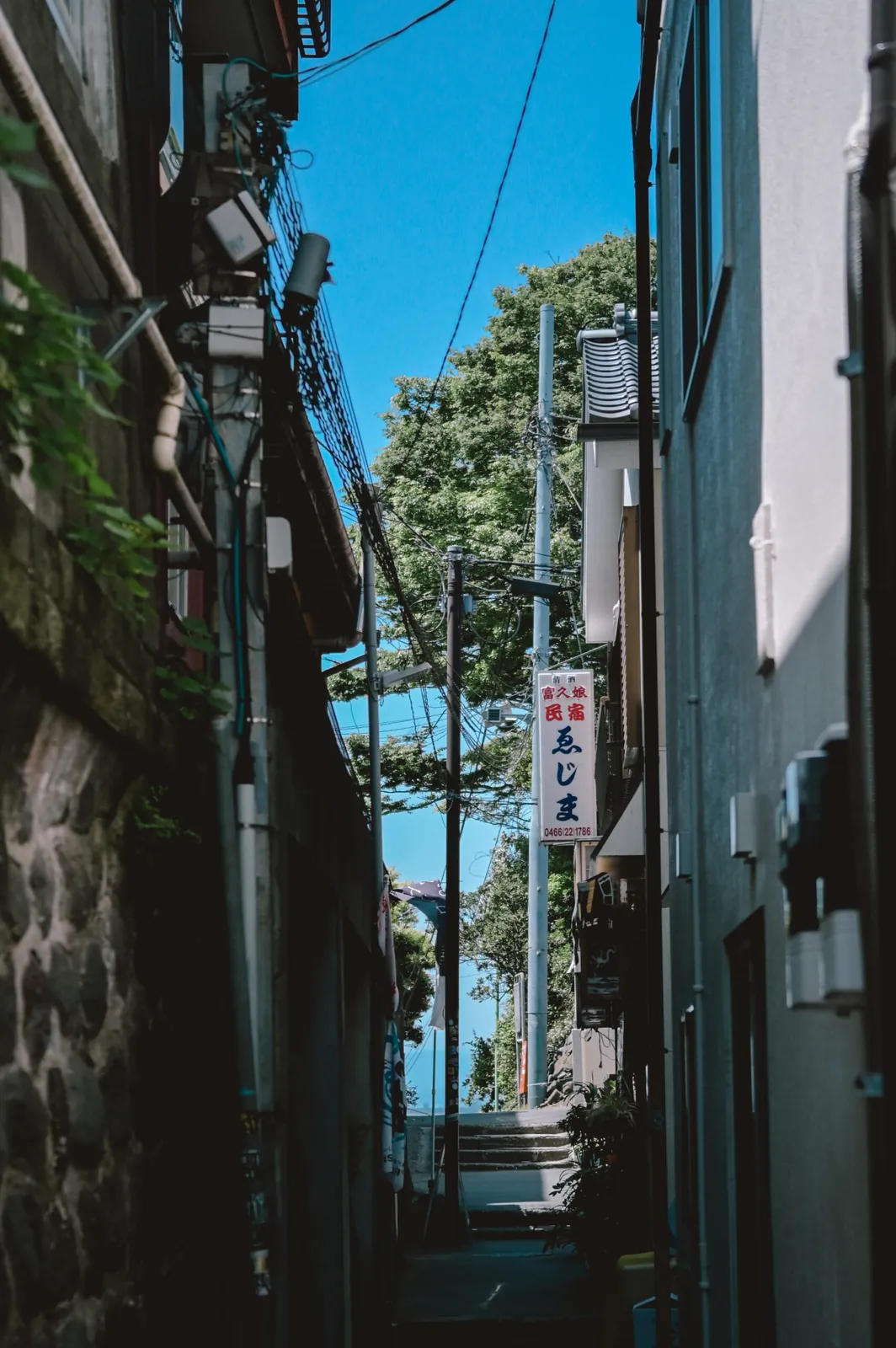 ぶらり江ノ島【Nikon Z6,SIGMA 45mm F2.8  Contemporary】