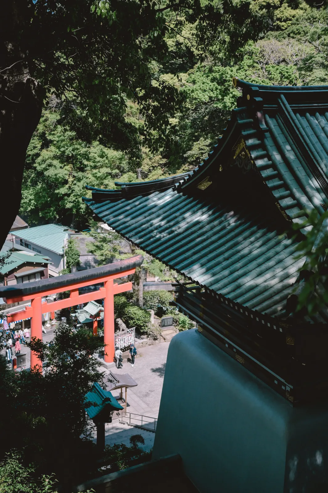 ぶらり江ノ島【Nikon Z6,SIGMA 45mm F2.8  Contemporary】