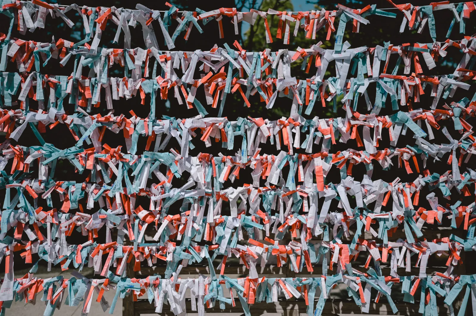 ぶらり江ノ島【Nikon Z6,SIGMA 45mm F2.8  Contemporary】