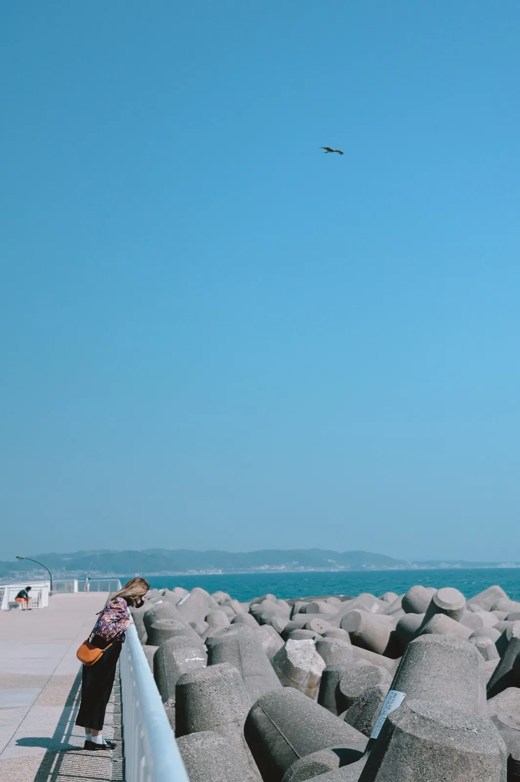 ぶらり江ノ島【Nikon Z6,SIGMA 45mm F2.8  Contemporary】