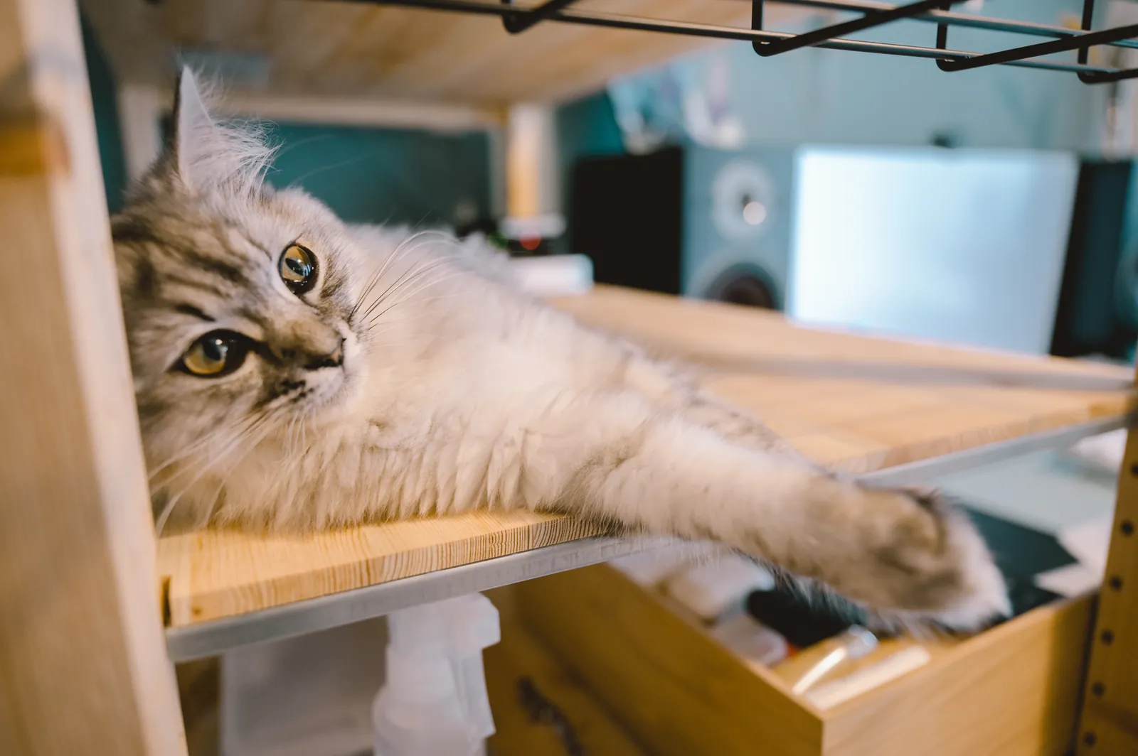 フリーランスエンジニアのデスク環境は日々めまぐるしく変化する