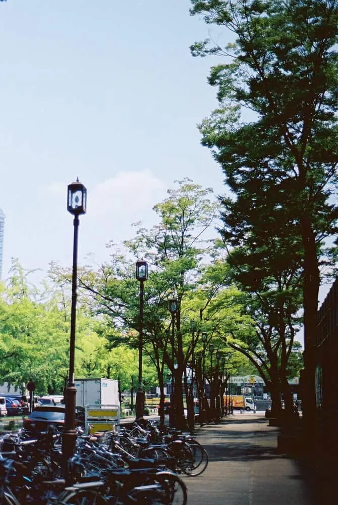 【 #ふぃるなごさんぽ 】第1回FilmsNagoyaフォトウォーク