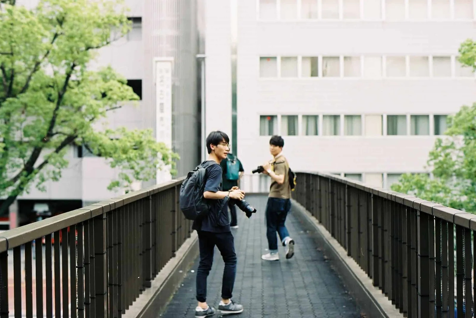 フィルムカメラで振り返る2019年の写真【2nd Roll】#カメクラの沼カレ2019