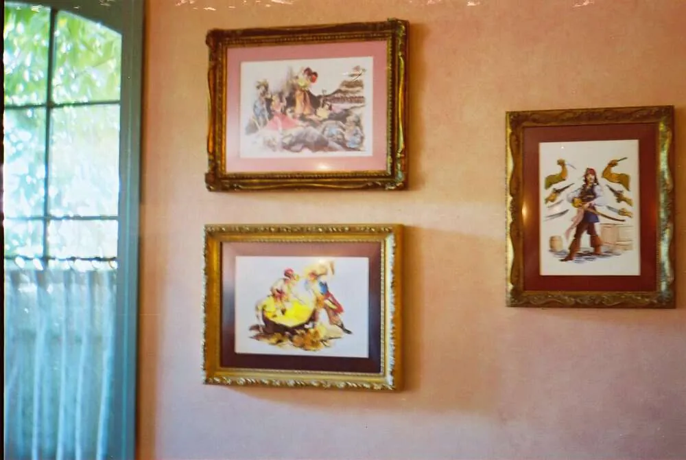 CONTAX T2とLomo100のディズニーランドがすごくエモかった