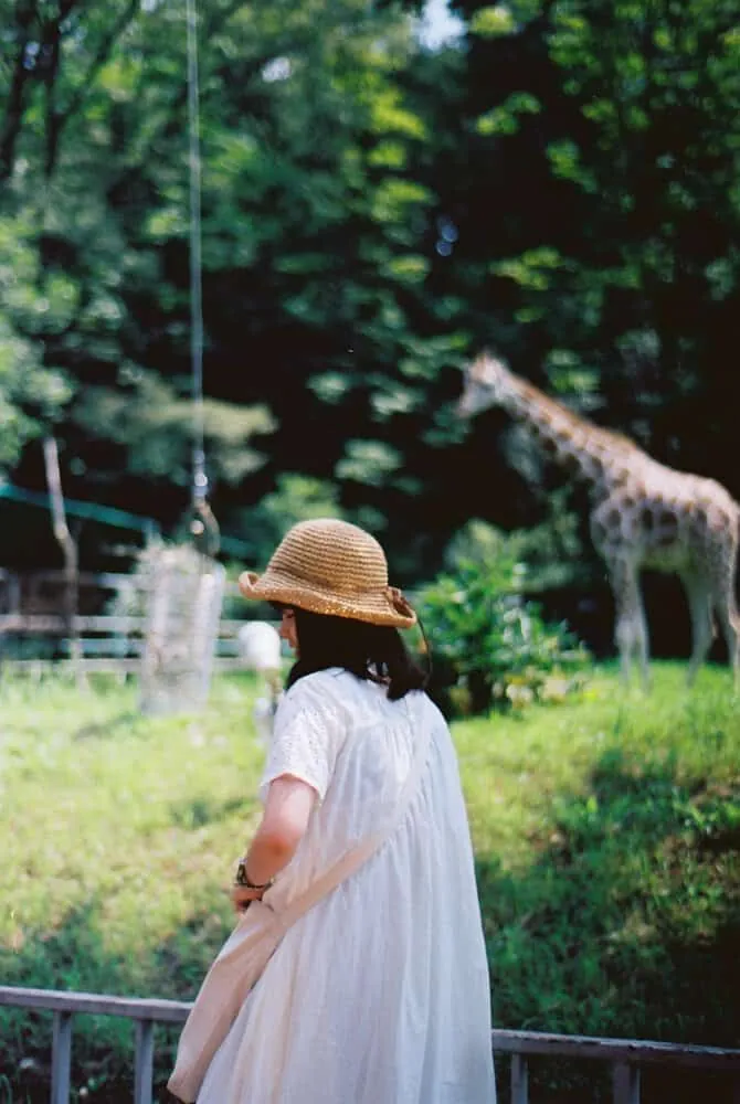 【 #ふぃるなごさんぽ 】第1回FilmsNagoyaフォトウォーク