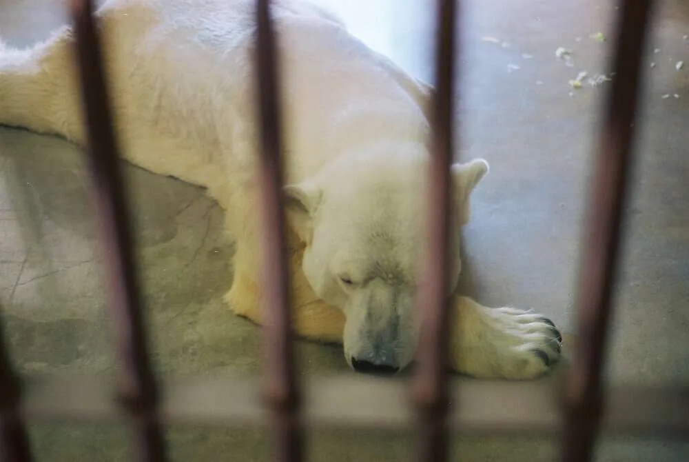 【 #ふぃるなごさんぽ 】第1回FilmsNagoyaフォトウォーク