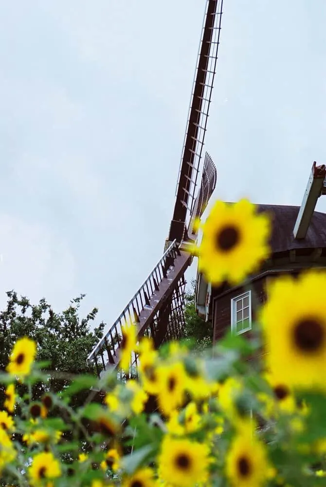 【作例】Nikon F4sに50mm1.8Dつけてちょっとそこまで